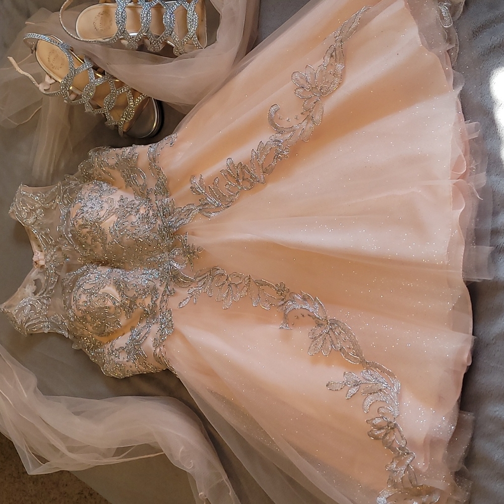 Juliet Blush Homecoming Dress